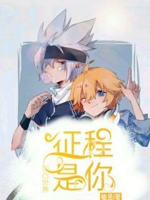 pr九天狐科技升级版